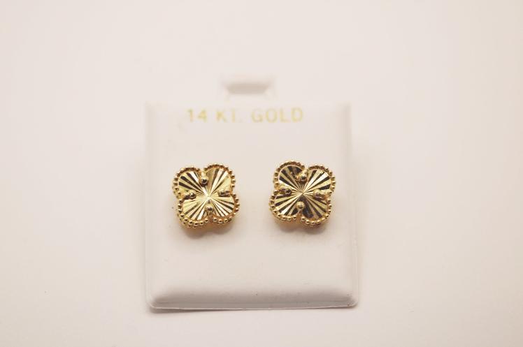 New Fancy Earring 14k