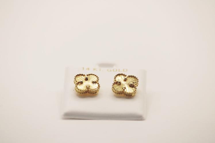 New Fancy Earring 14k