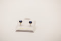 Blue Screw Back Stud Earrings 14k