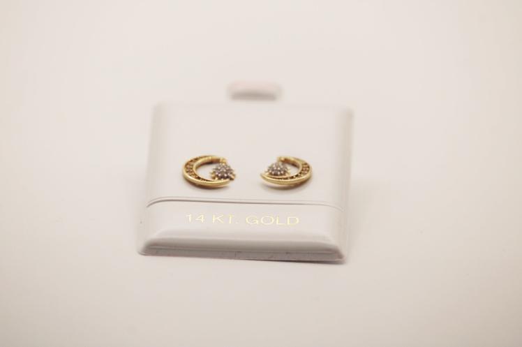 Moon Earring